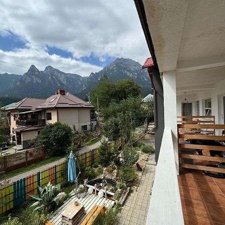 Casa David Hotel Buşteni Exterior foto