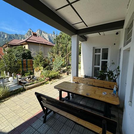 Casa David Hotel Buşteni Exterior foto