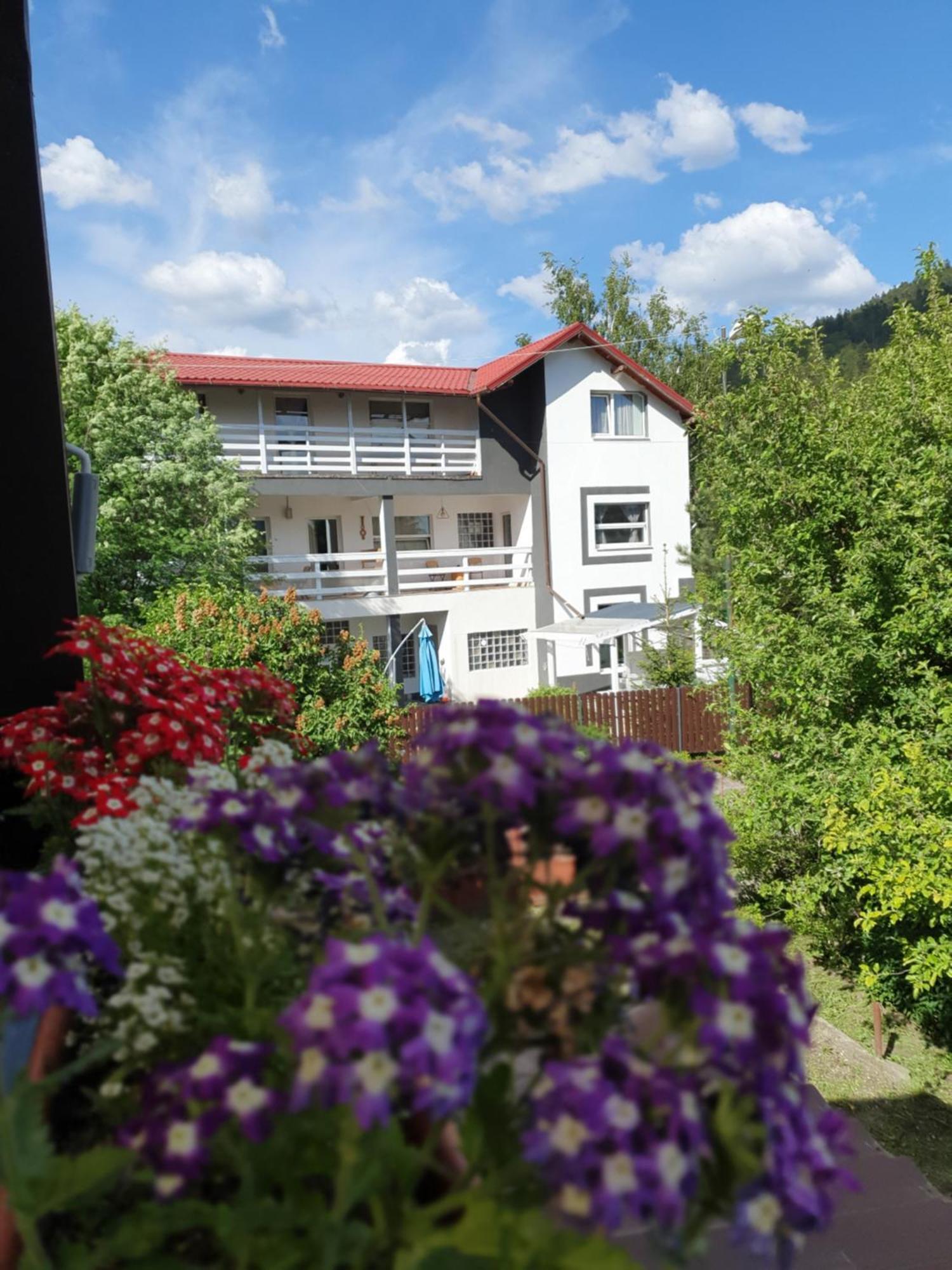 Casa David Hotel Buşteni Exterior foto