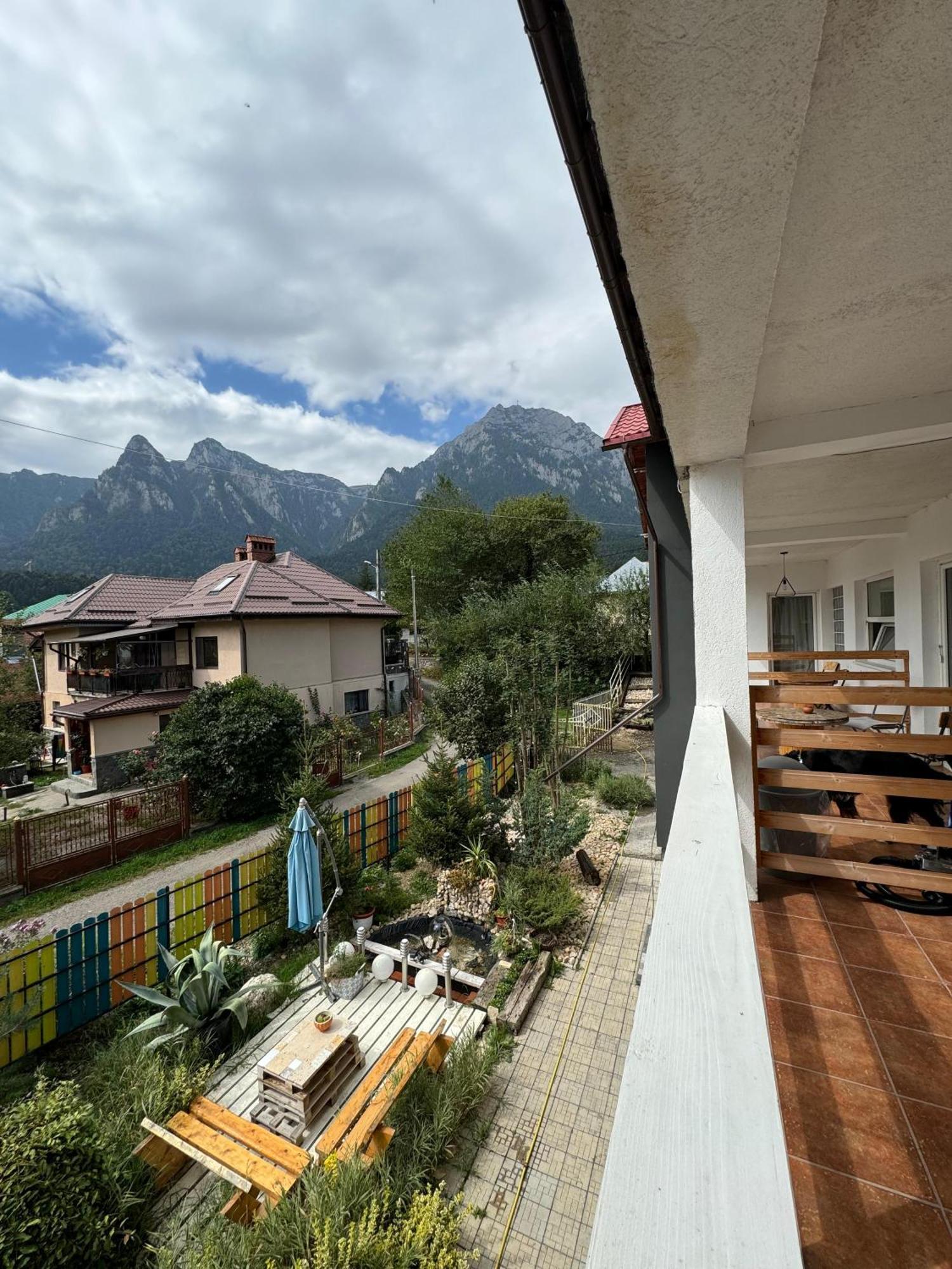 Casa David Hotel Buşteni Exterior foto
