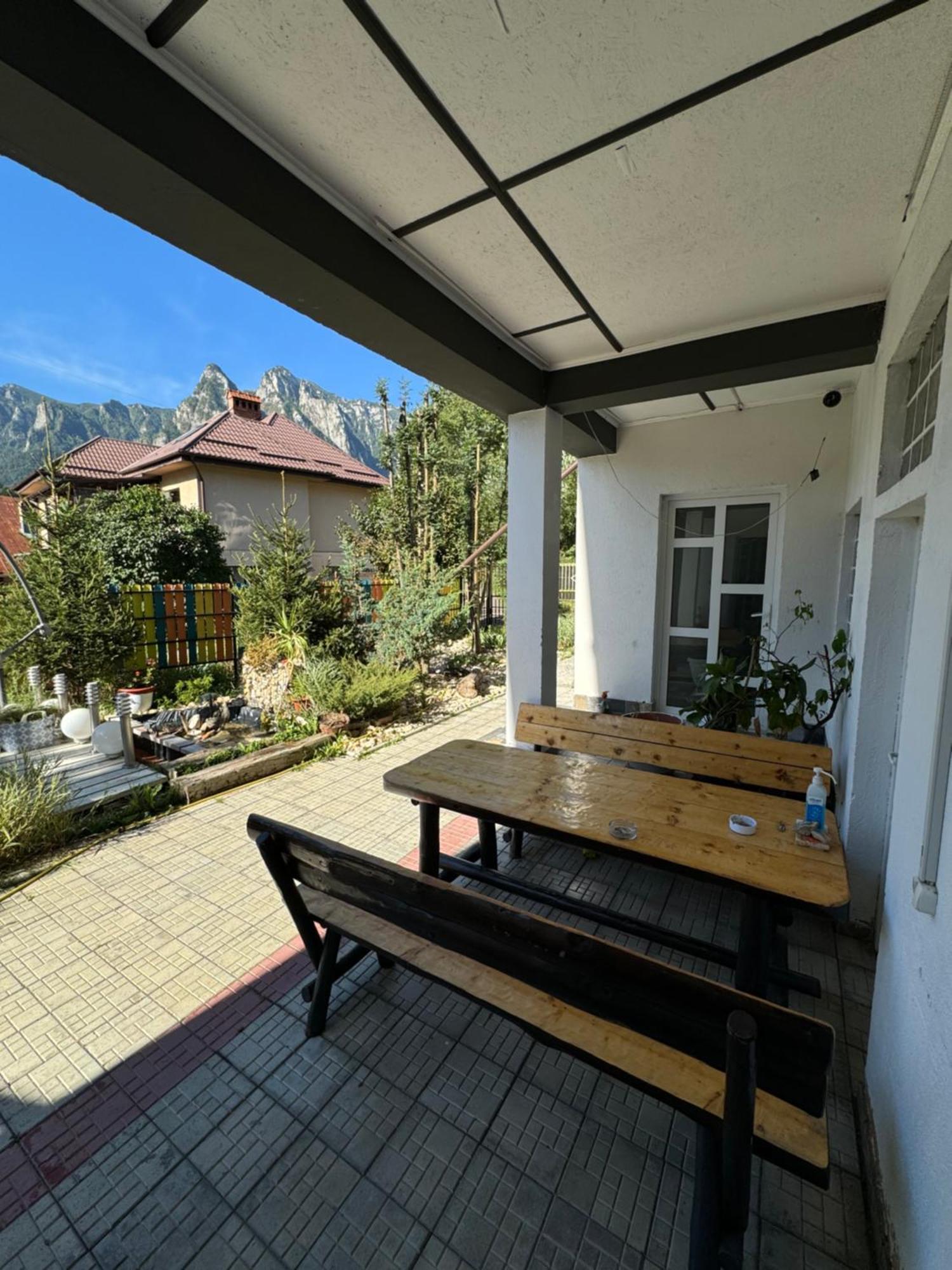 Casa David Hotel Buşteni Exterior foto