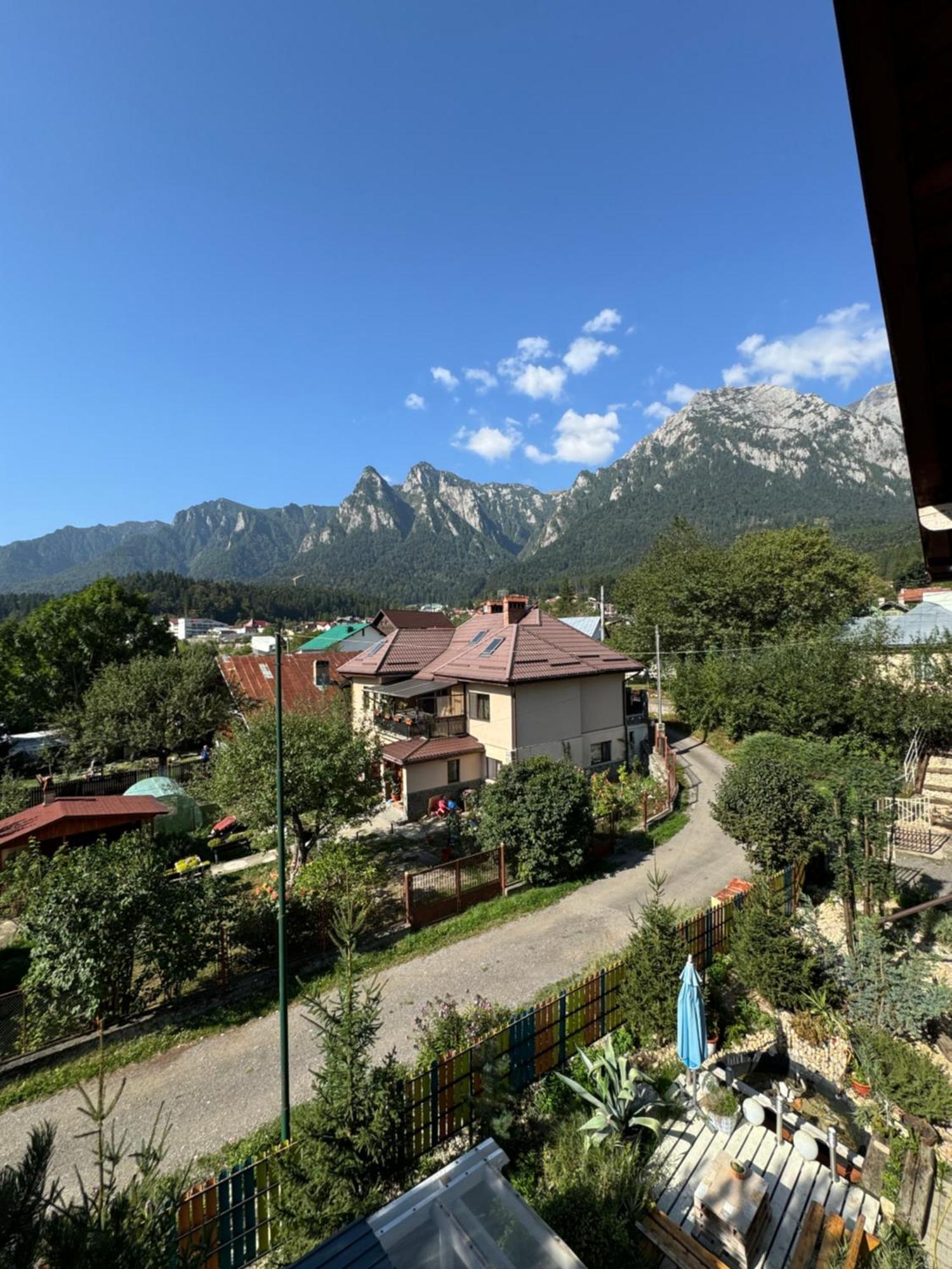 Casa David Hotel Buşteni Exterior foto