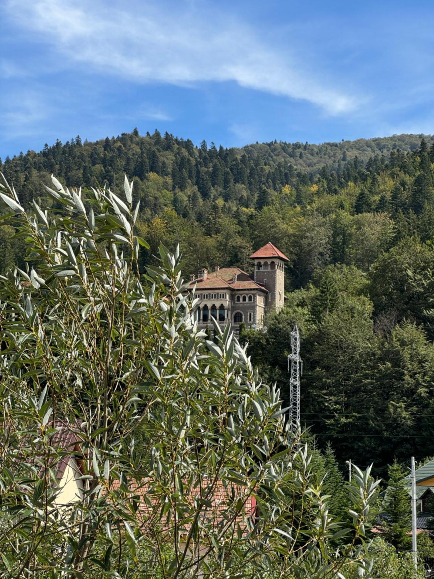Casa David Hotel Buşteni Exterior foto