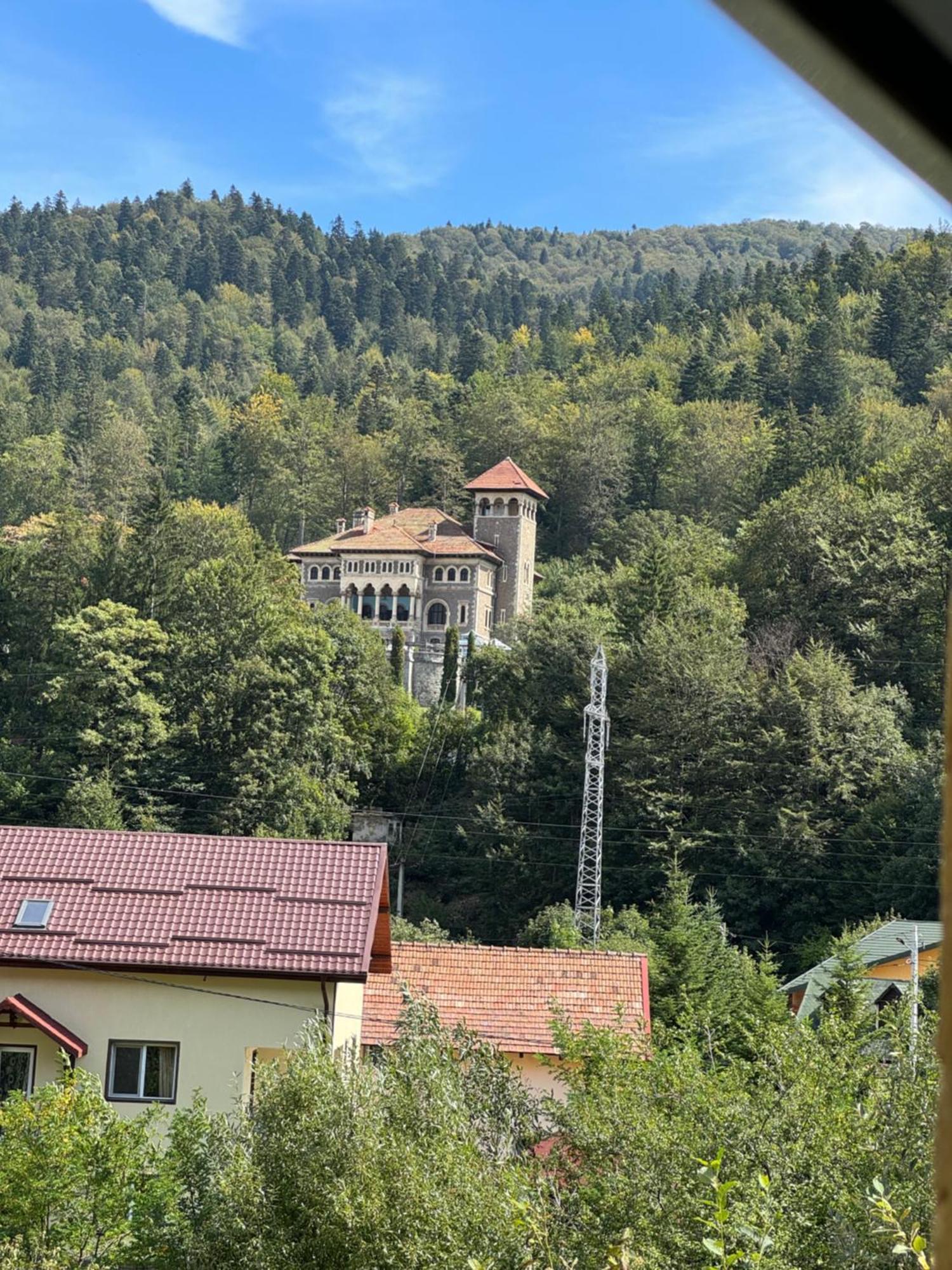 Casa David Hotel Buşteni Exterior foto