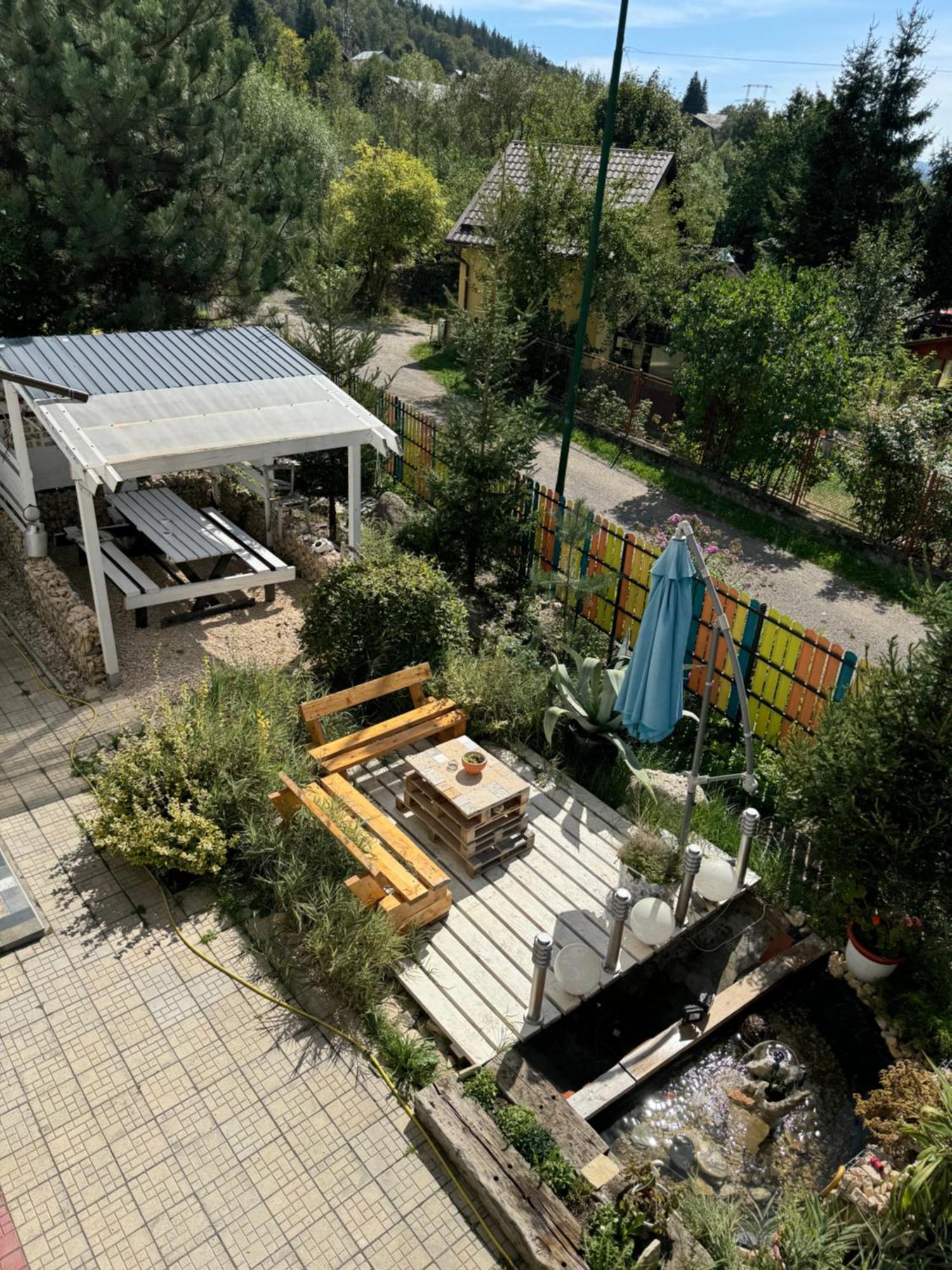 Casa David Hotel Buşteni Exterior foto