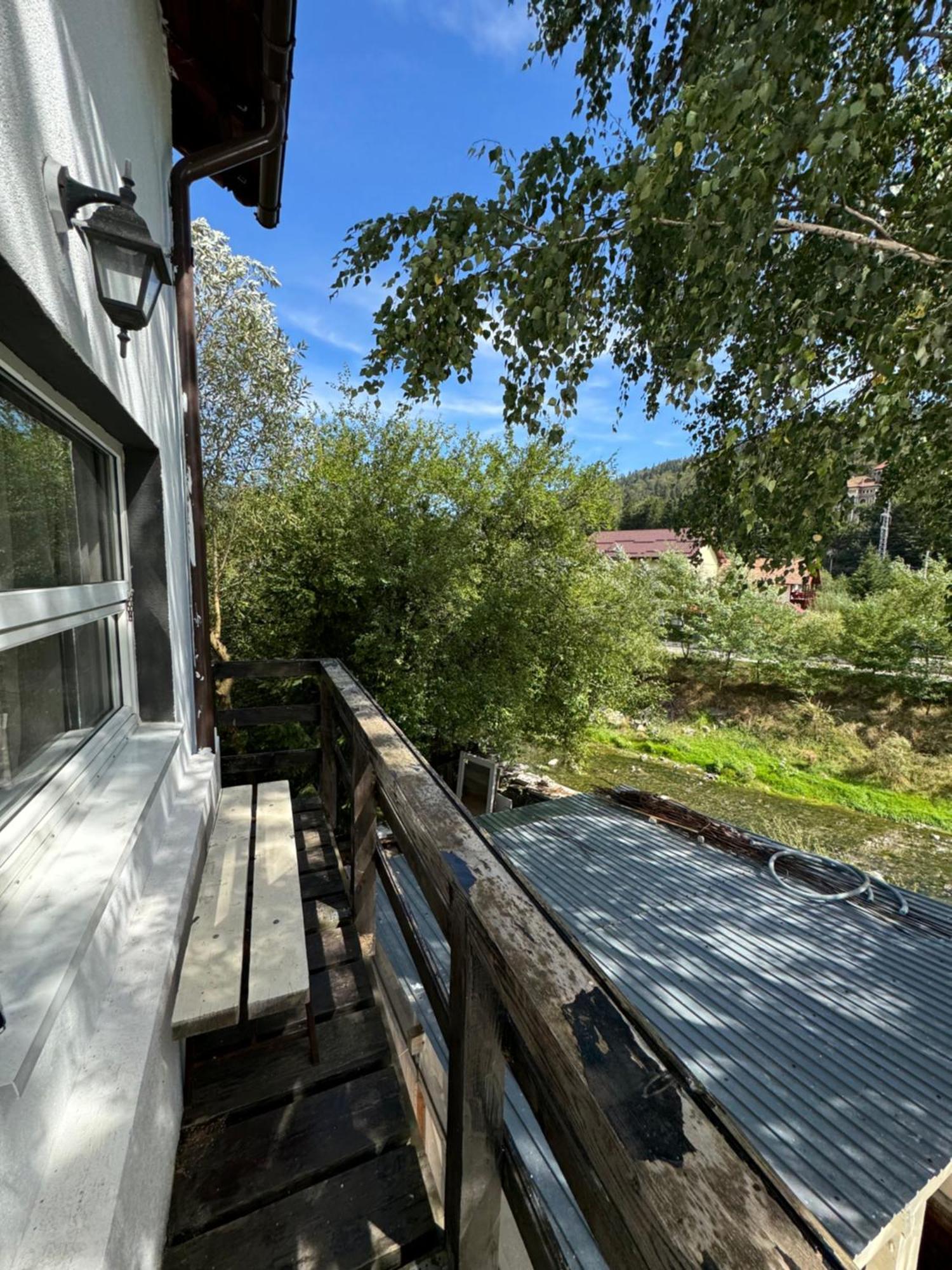 Casa David Hotel Buşteni Exterior foto
