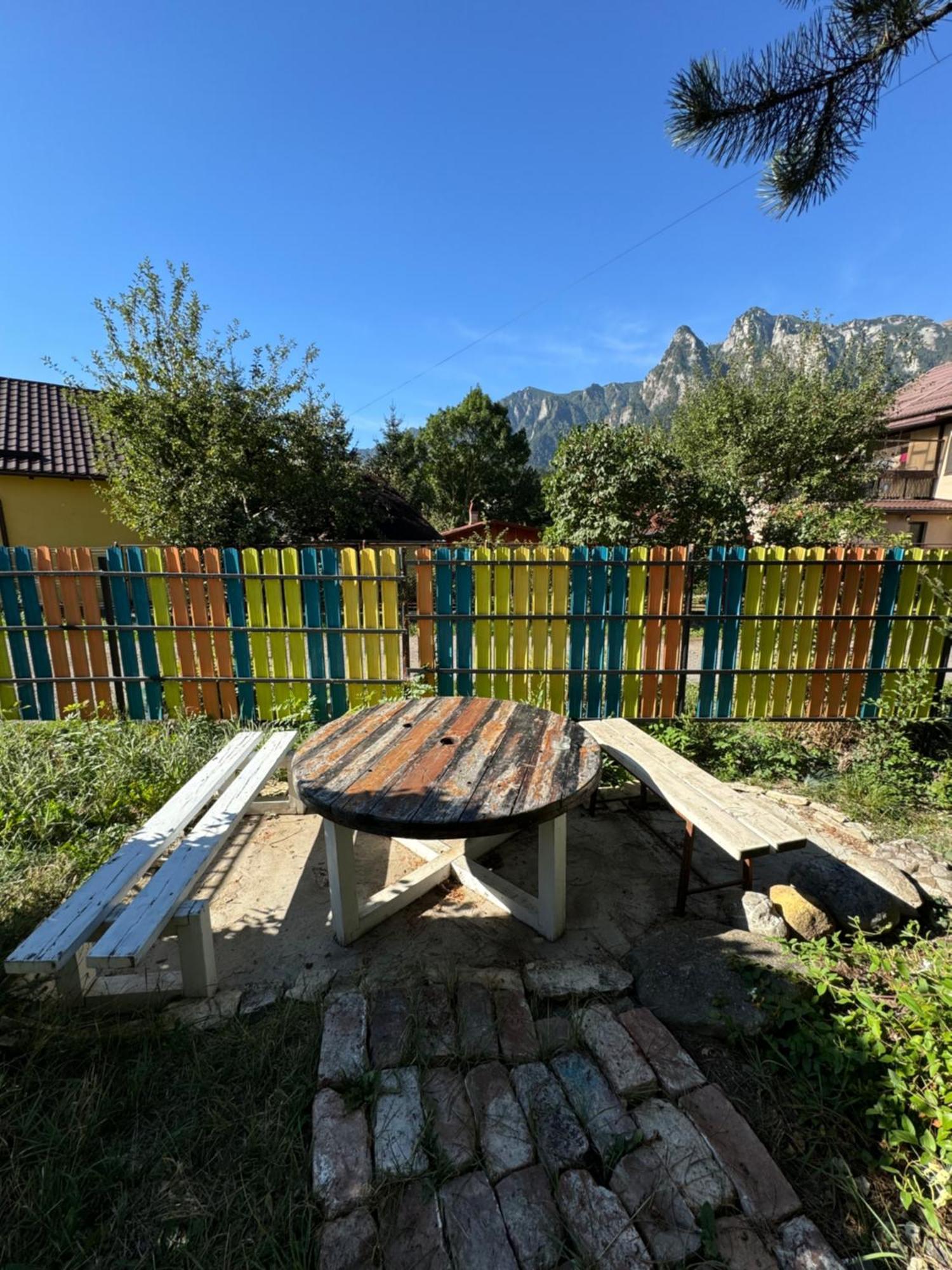 Casa David Hotel Buşteni Exterior foto