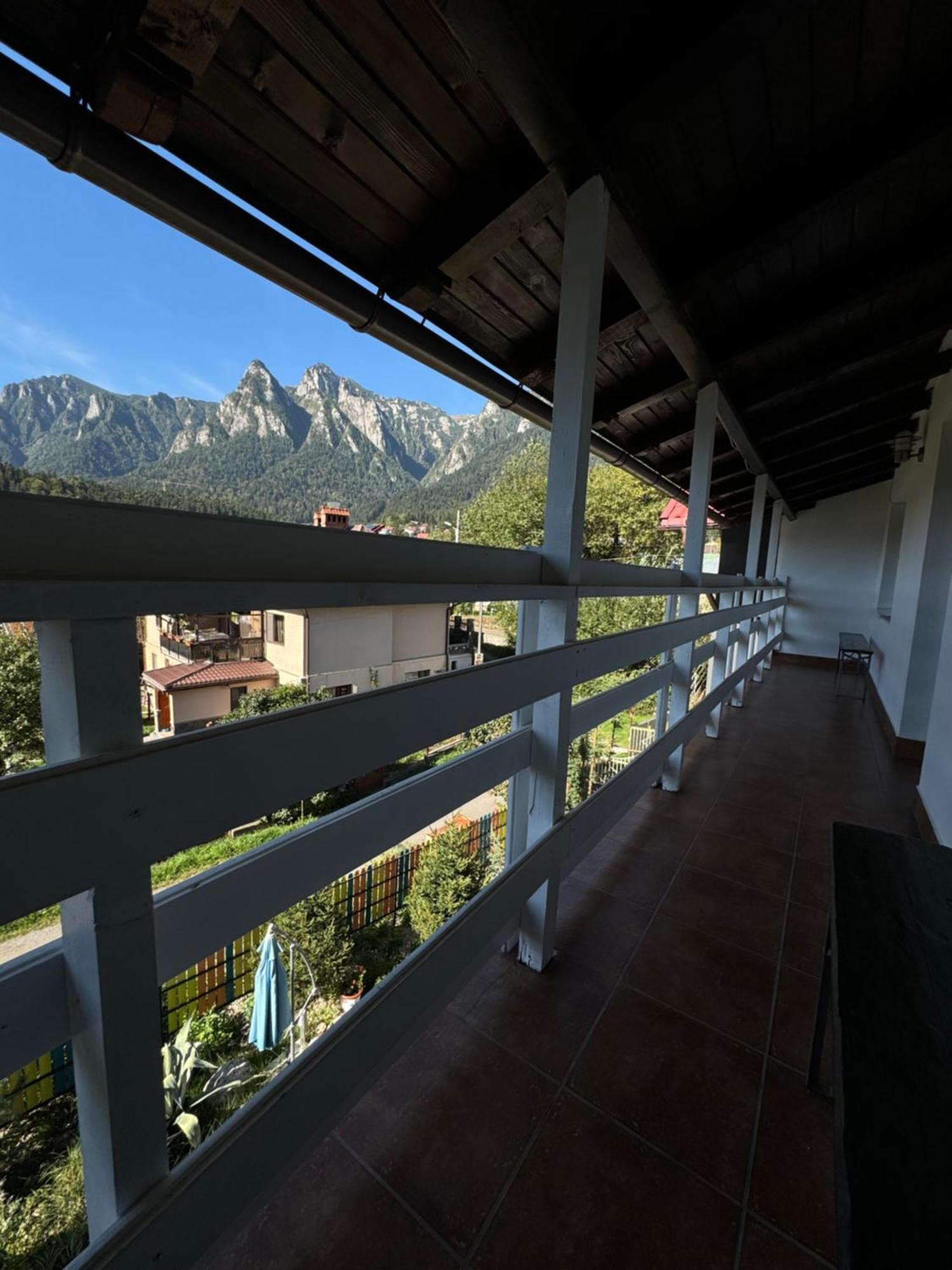 Casa David Hotel Buşteni Exterior foto